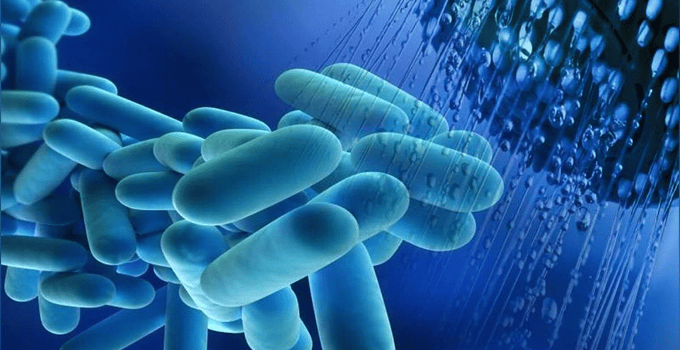 Legionella Duty Holder & Responsible Persons Course